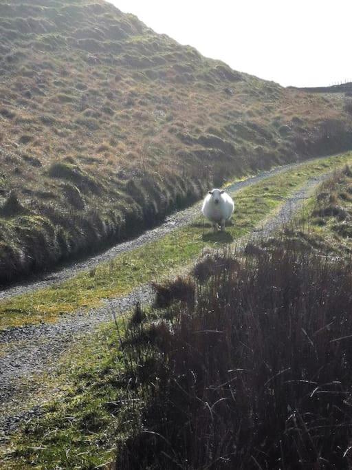 Zipworld Waterfalls Eryri Dogs Welcome 3 Bed Sleeps 5 Blaenau Ffestiniog Exterior photo